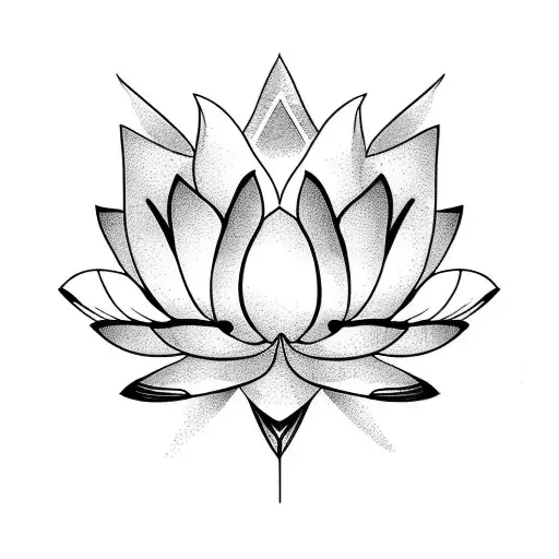 Discret Lotus