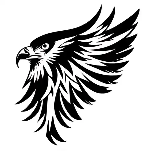 Folk Style Hawk From Above