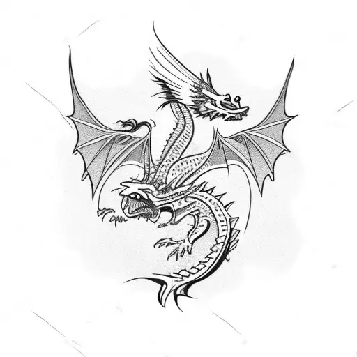 Dragon Fighting A Phoenix