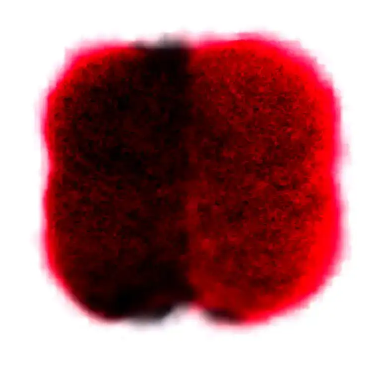 Two Rose Wrapped One Black One Red