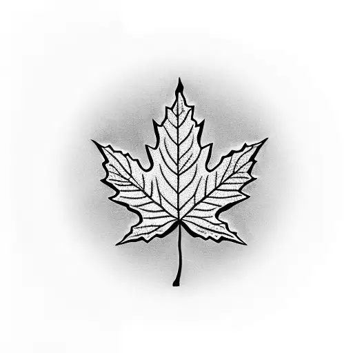 Maple Leaf