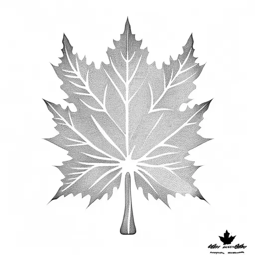 Maple Leaf Maori