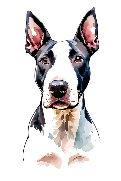 English Bull Terrier