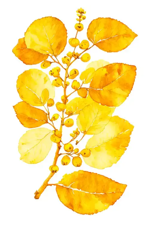 Golden Wattle And Jacaranda Crescent Fine Line