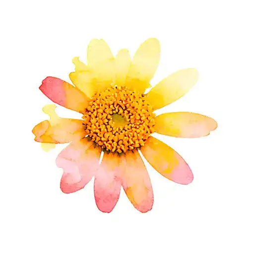 Daisy Puzzle Pieces Forming